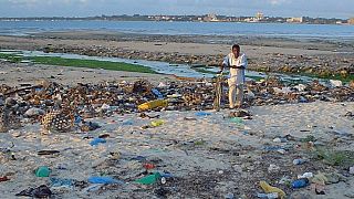 Seychelles bans plastic bags, cups, plates and cutlery