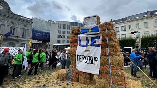 Farmers protest in Brussels against EU-Mercosur trade deal