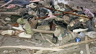 Pix of the Day: October 02, 2025