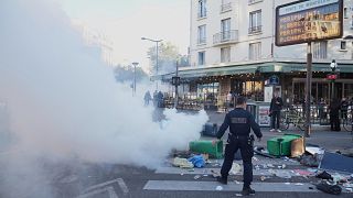 Police make 295 arrests as 'Block everything' movement sweeps France 