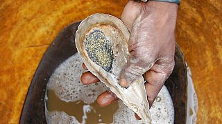 Mali: Director of Australian gold company arrested