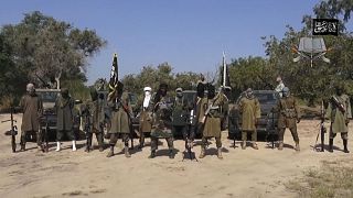 Chad police arrests son of Boko Haram founder with 5 other jihadists