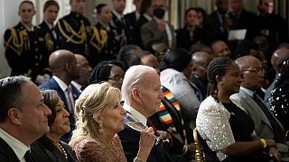 Record trade deals between Africa and US worth $14.2 billion - White House