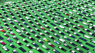 International Yoga Day