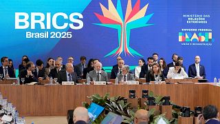 Brazil eyes global food leadership amid U.S.-China trade tensions