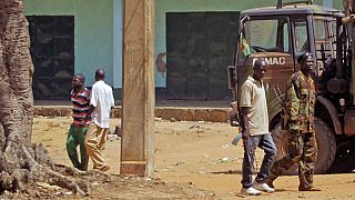 Central African Republic: 10 dead in an ambush near a diamond mine