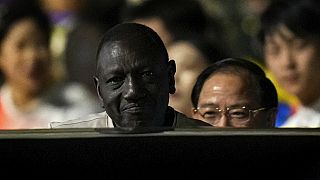 China's foreign minister meets with several African counterparts