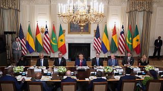"Great economic potential in Africa": five African leaders have lunch with Trump
