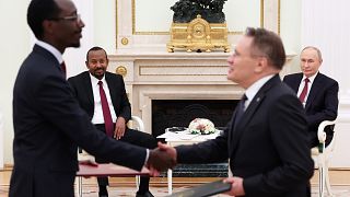 Ethiopia, Niger plan to build nuclear plants with Russia's Rosatom