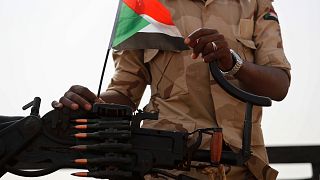 African Union rejects RSF’s rival government in Sudan amid escalating conflict