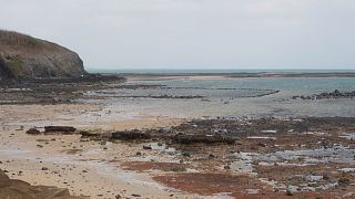 Dicovery: scientists believe mystery fossil is Denisovan, early human ancestor