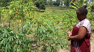 Kenya project looks at impact of climate change on women's mental health