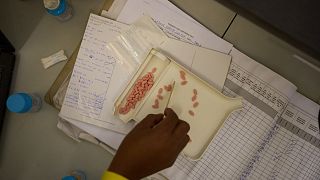 Cuts in US foreign aid has left people in Lesotho living with HIV in limbo