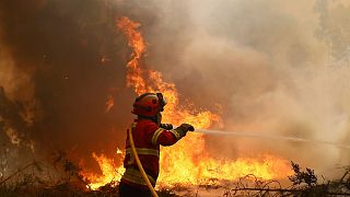 Portugal battles major wildfires as heat and winds intensify risk