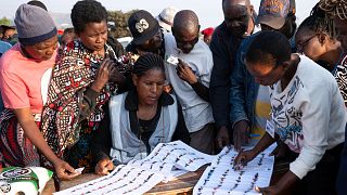 Pix of the Day: September 16, 2025