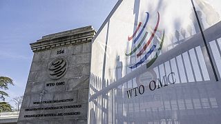 WTO and IMF warn of global trade disruptions a new U.S. tariffs