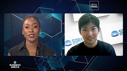 AI drones lead breakthrough against malaria in Africa [Business Africa]